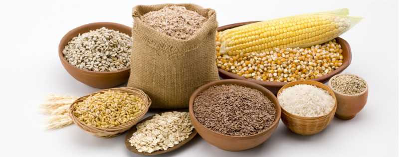 Agricultural & Fertilizer Processing