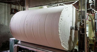 Paper & Pulp Manufacturing